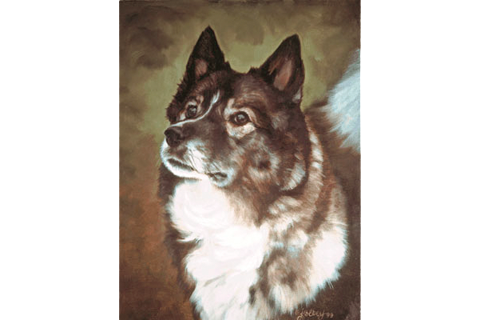 Oil on Canvas